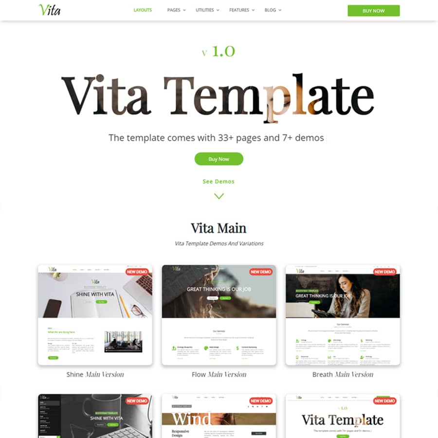 Vita Website Template