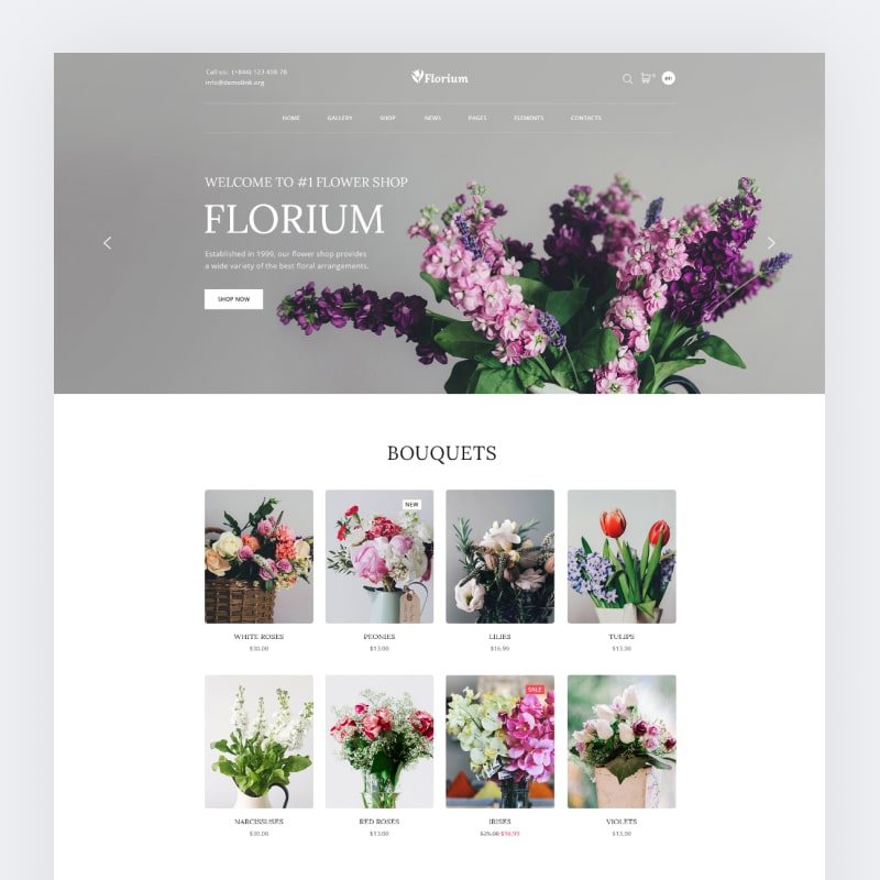 20 HTML5 & Javascript Website Templates 2020 - TemplateMag