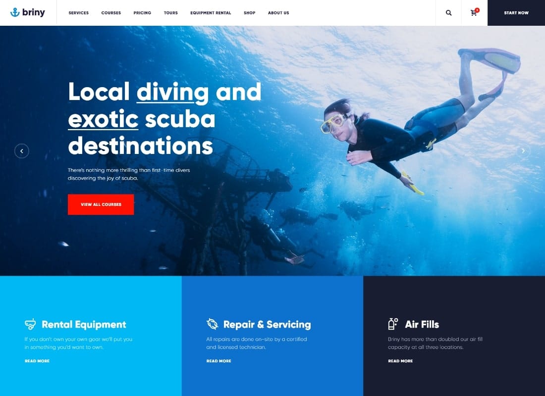 Briny | Scuba Diving School & Water Sports WordPress Theme + RTL Website Template