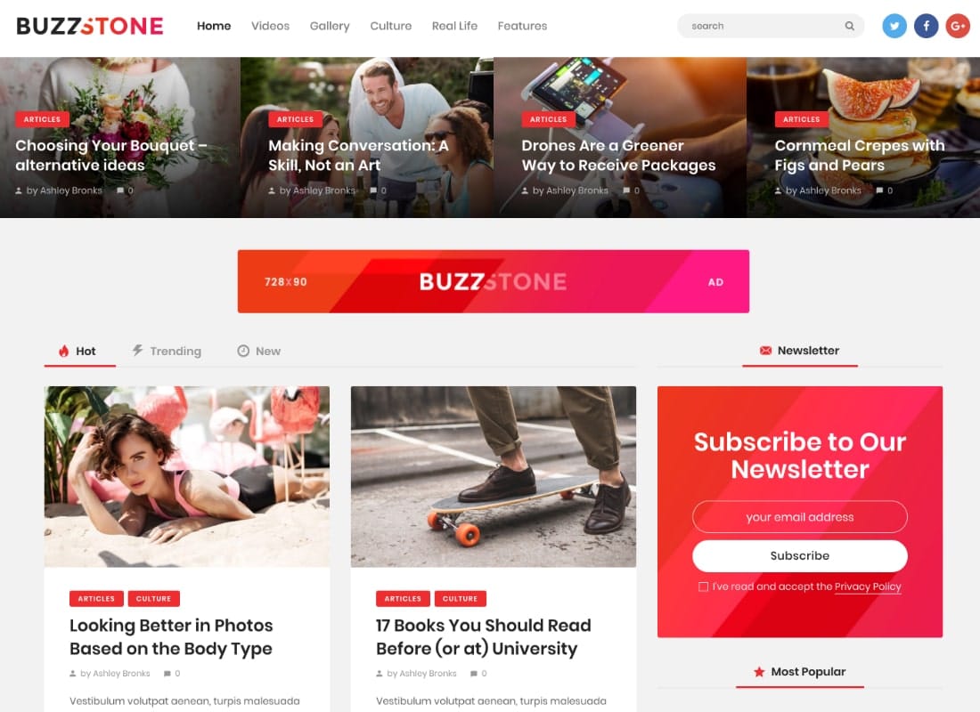 Buzz Stone | Magazine & Viral Blog WordPress Theme Website Template