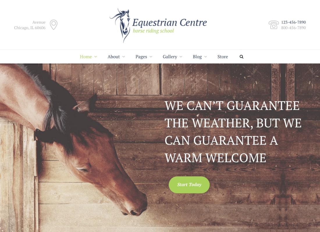 Equestrian Centre | Horse-riding School WordPress Theme Website Template