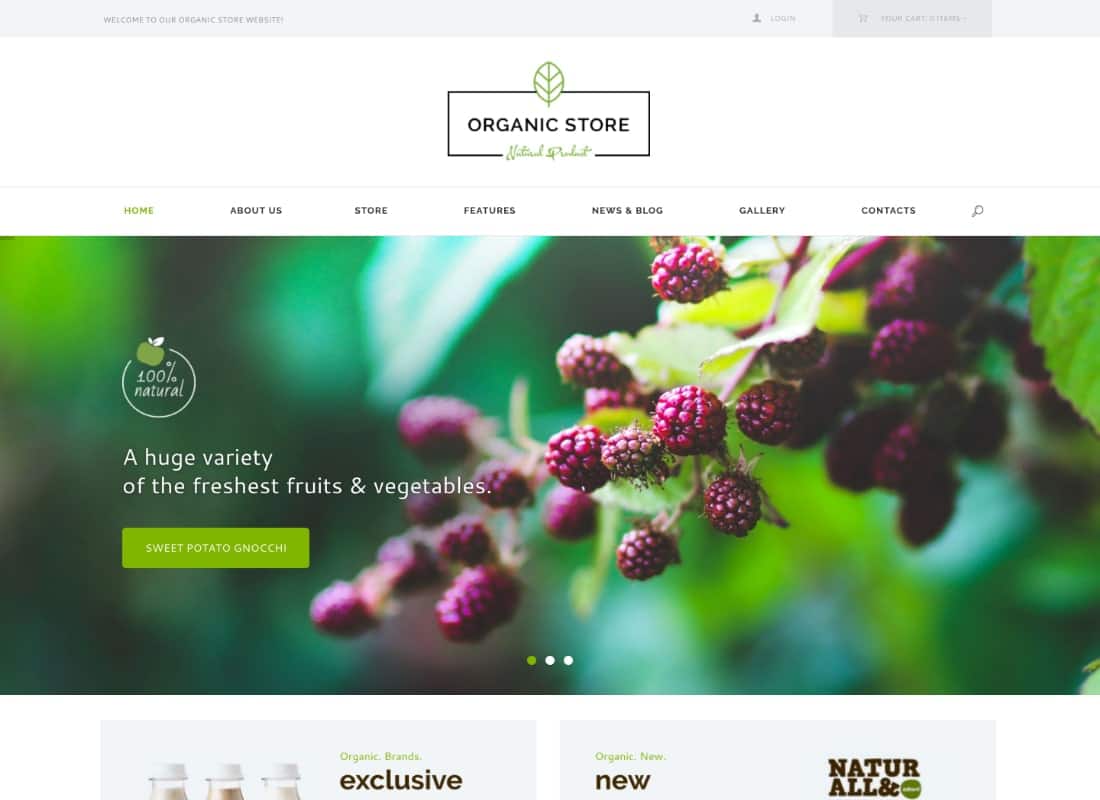 Organic Store | Food & Eco Products Shop WordPress Theme + RTL Website Template