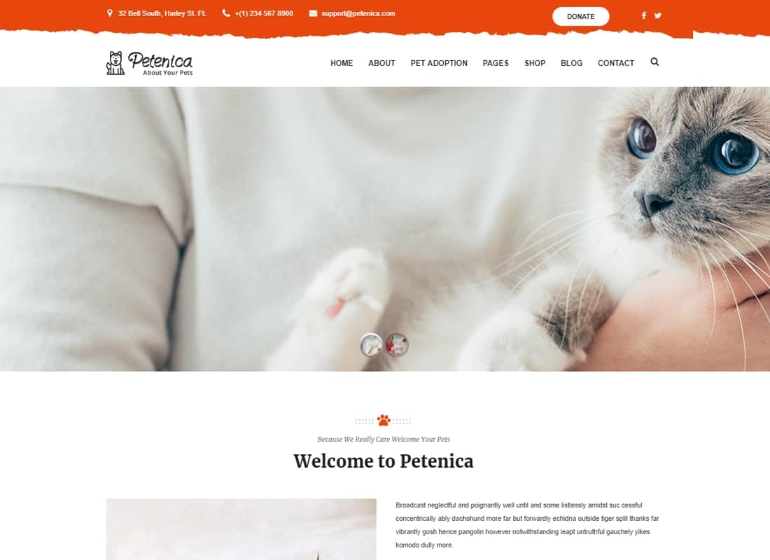 Petenica: Pet Sitter and Adoption WordPress Theme Website Template