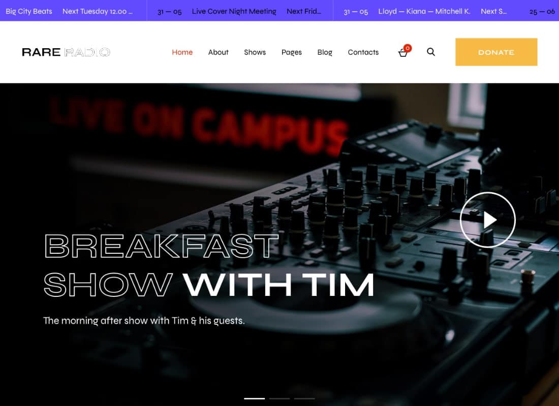 Rare Radio | Online Music Radio Station & Podcast WordPress Theme Website Template