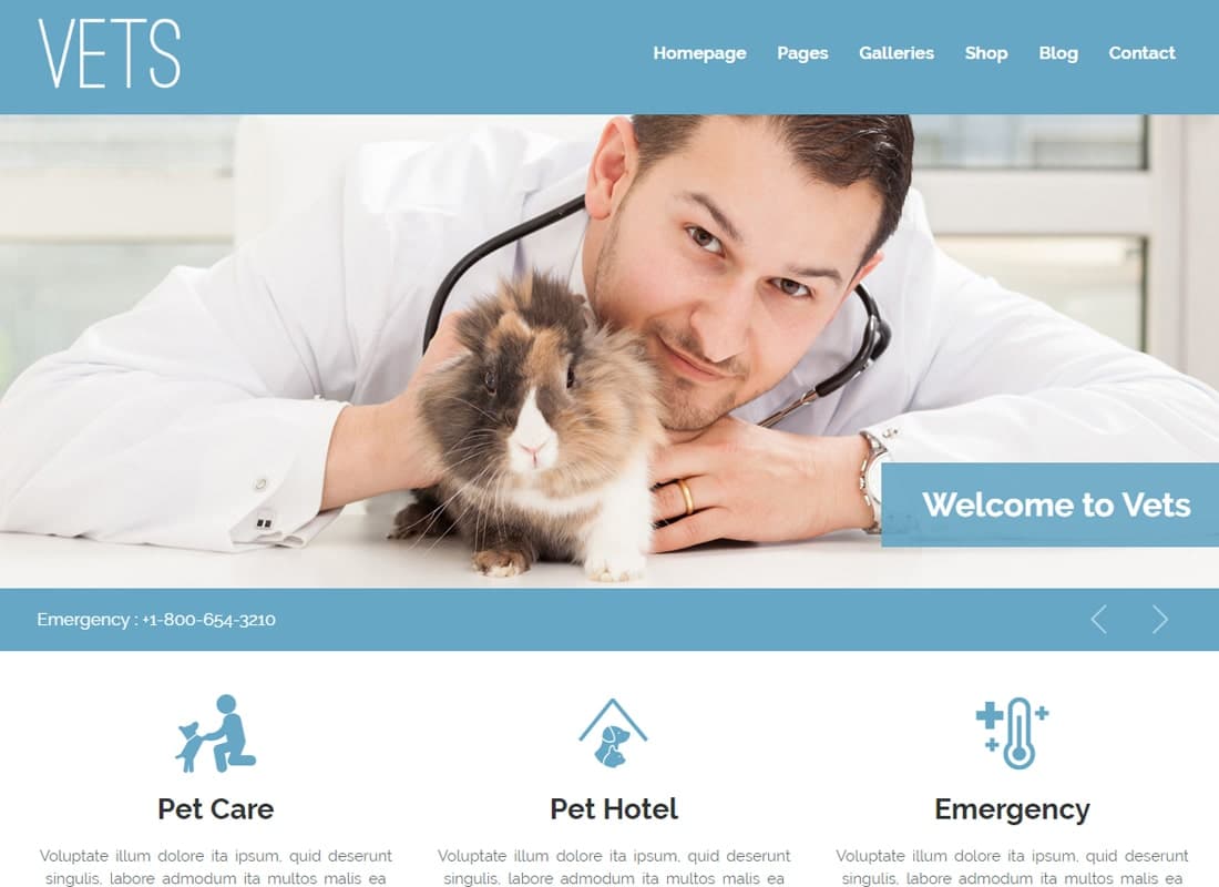 VETS - Veterinary Medical Health Clinic WP Theme Website Template