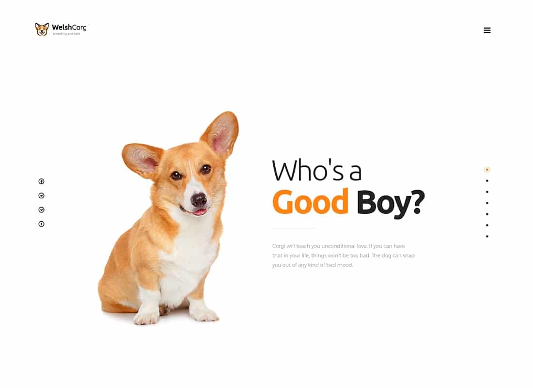 Welsh Corgi | Dog Breeding and Sale WordPress Theme Website Template