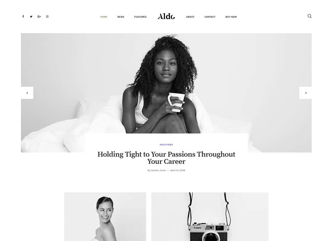 Aldo | Gutenberg Blog WordPress Theme Website Template