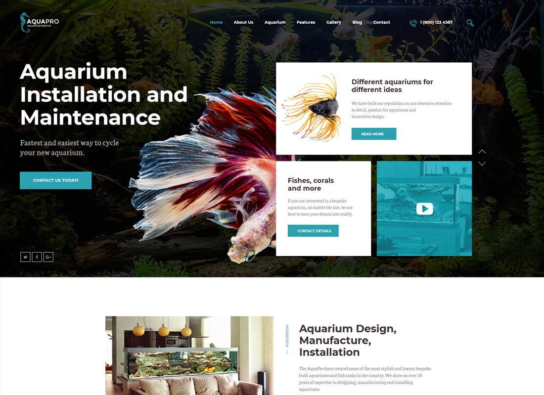 AquaPro | Aquarium Installation and Maintanance Services WordPress Theme + Store Website Template