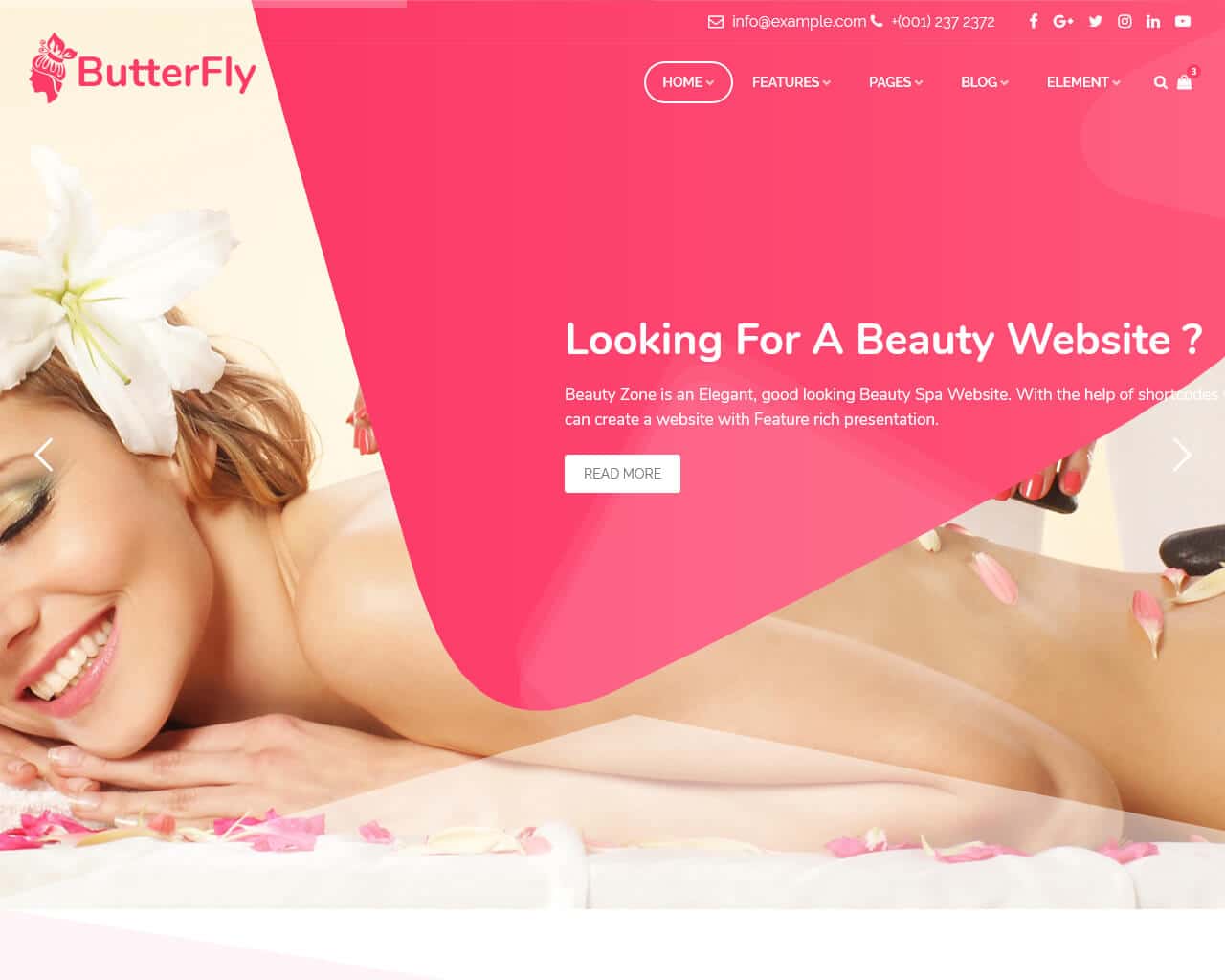 ButterFly Website Template