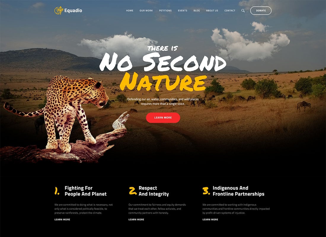 Equadio - Non-Profit and Environmental WordPress Theme Website Template