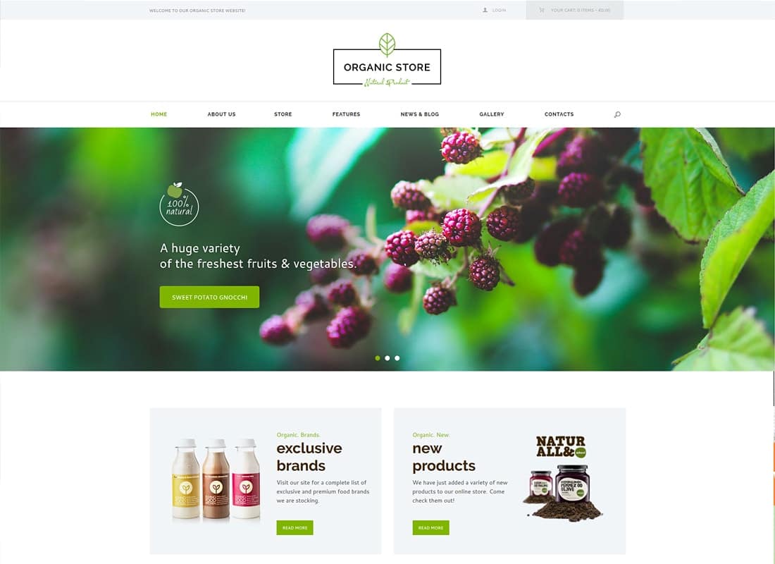 Organic Beauty Store & Natural Cosmetics WordPress Theme Website Template