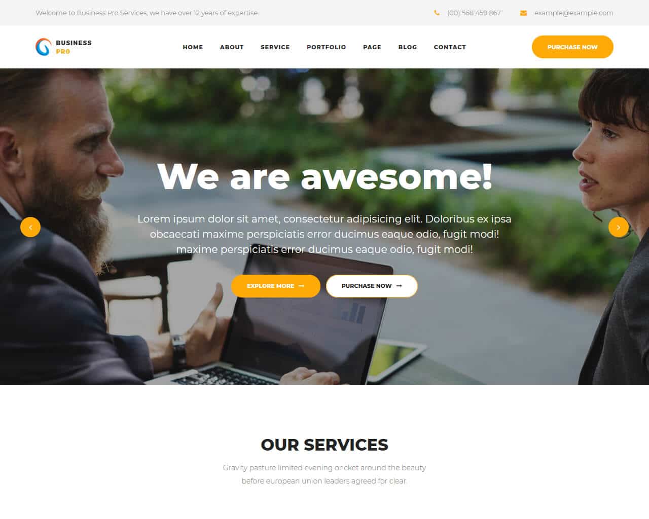 20+ Pro Business Website Templates 20 - TemplateMag With Bootstrap Templates For Business