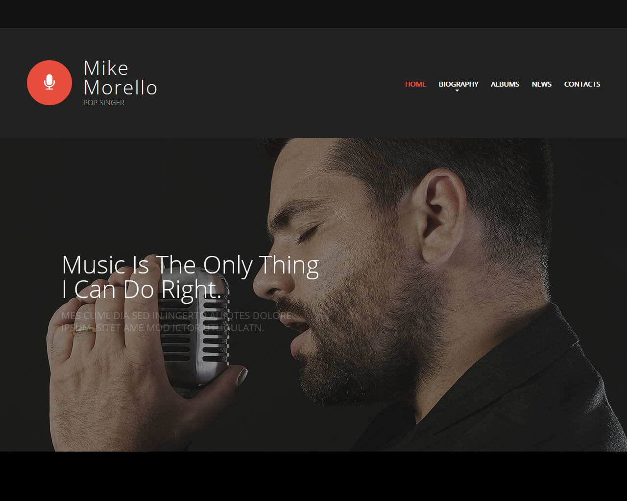 Singer Portfolio Music Website Template 
