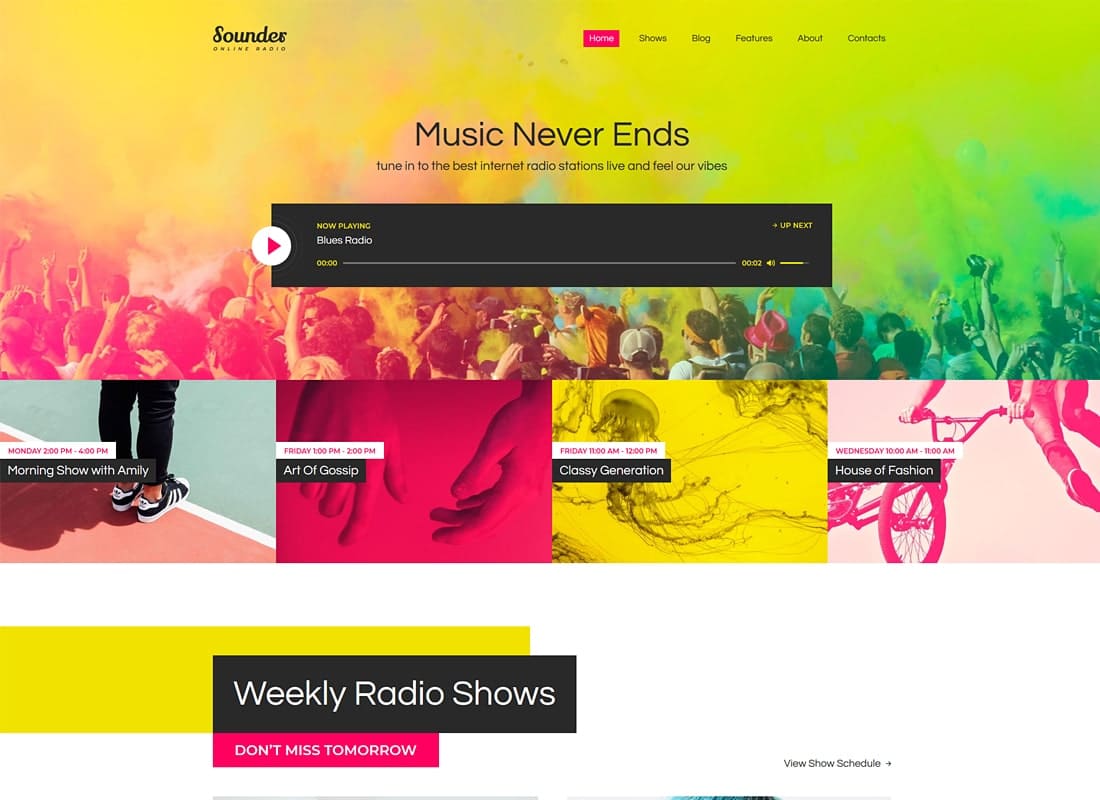 Sounder | Online Radio WordPress Theme Website Template