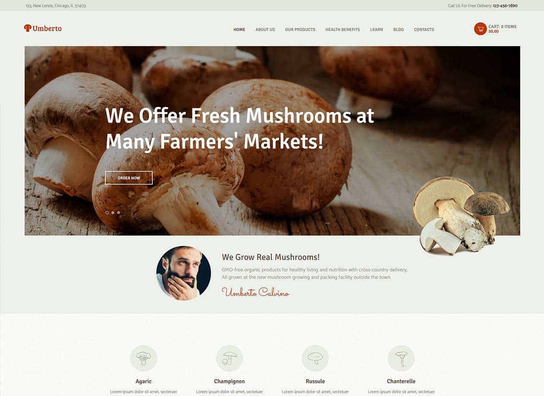 Umberto - Mushroom Farm & Organic Products Store WordPress Theme Website Template