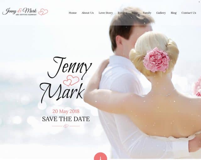 17 Best Wedding Website Templates 2026